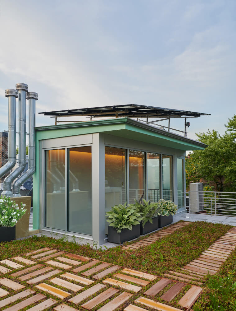 Fort Greene Brownstone, Greenroof by Sherman Architects