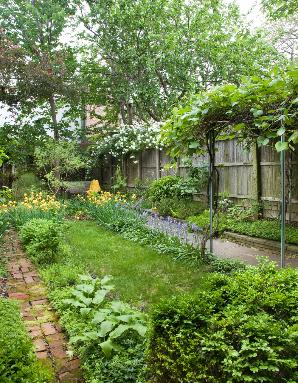 Crown Heights Row House, Garden by Sherman Architects