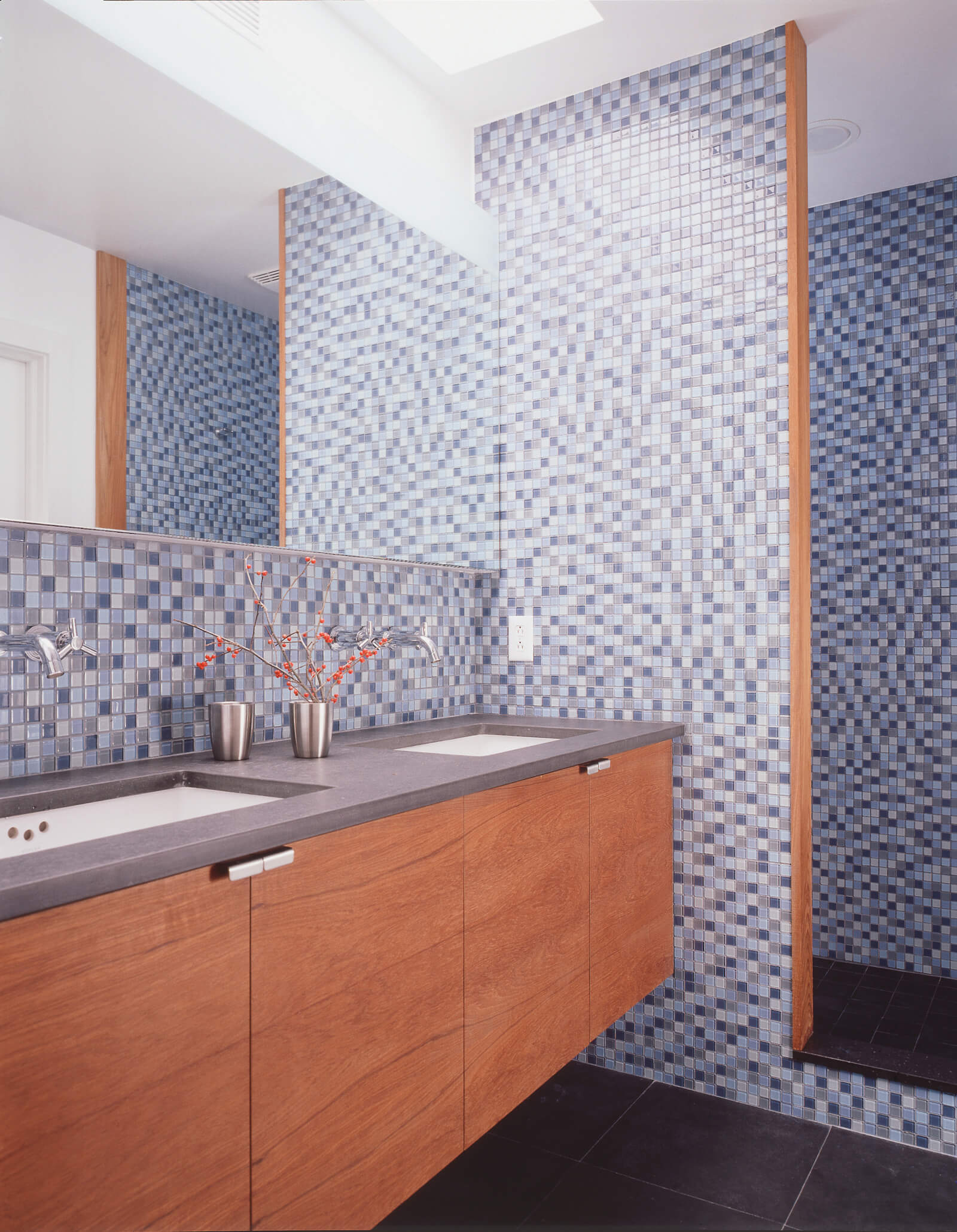 Park Slope Row House - segmented bathroom