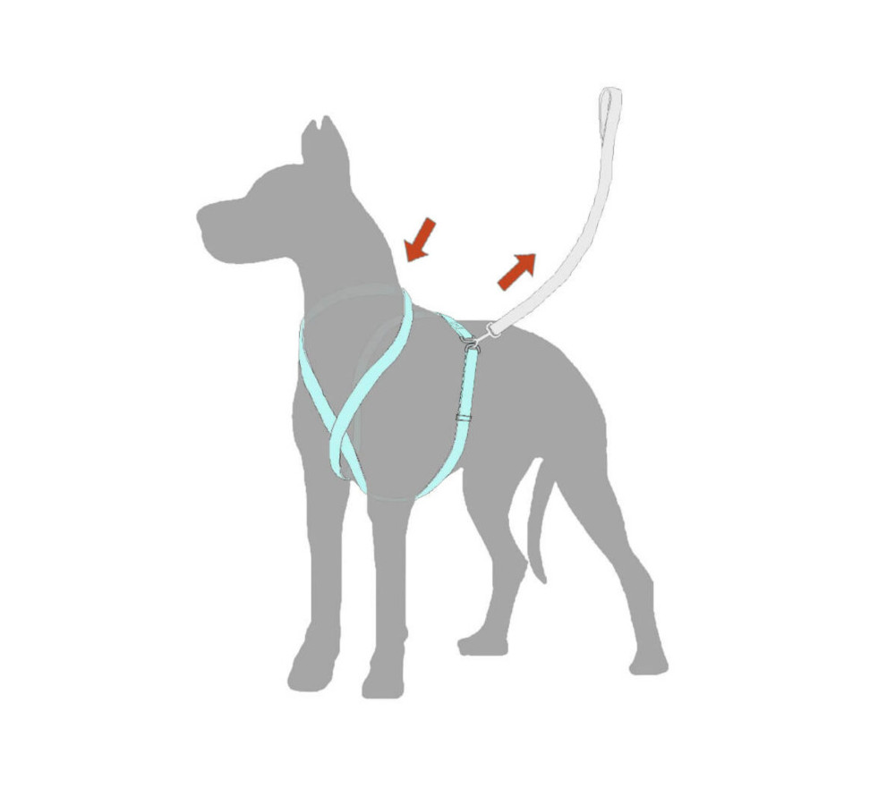 Dog Harness by Sherman Architects