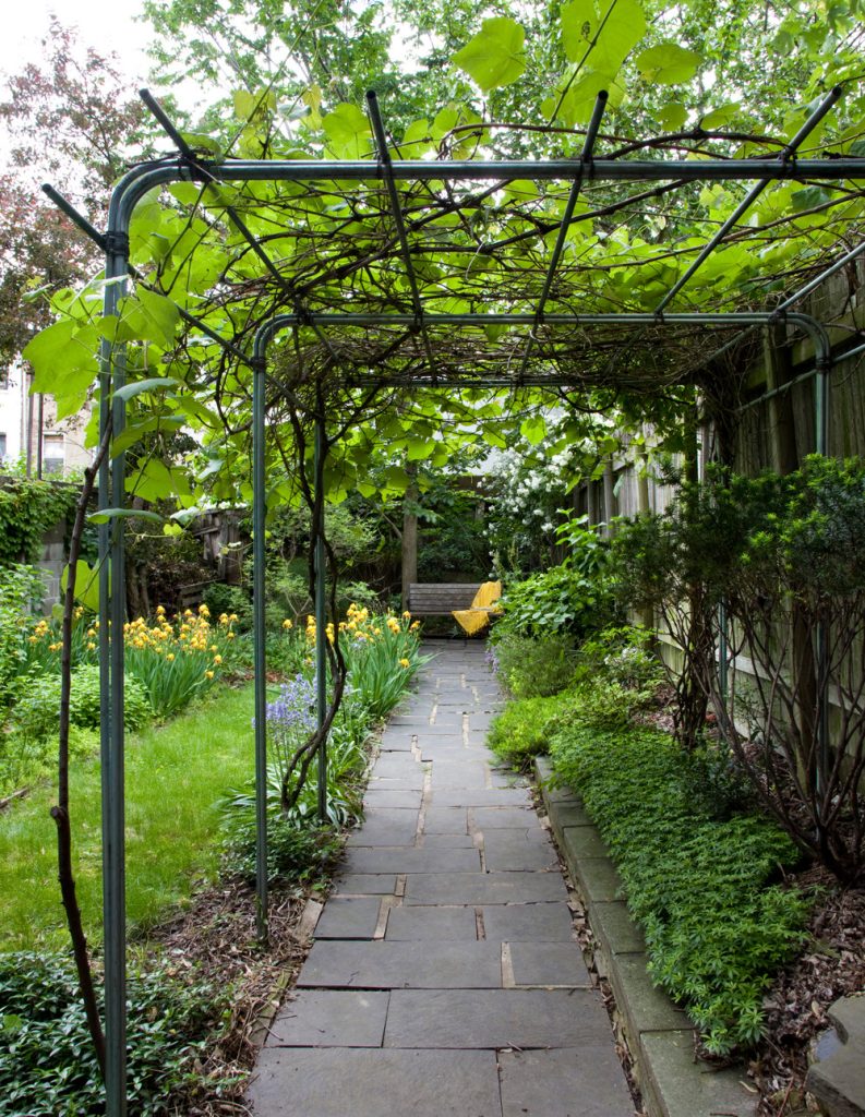 Crown Heights Row House - arbor