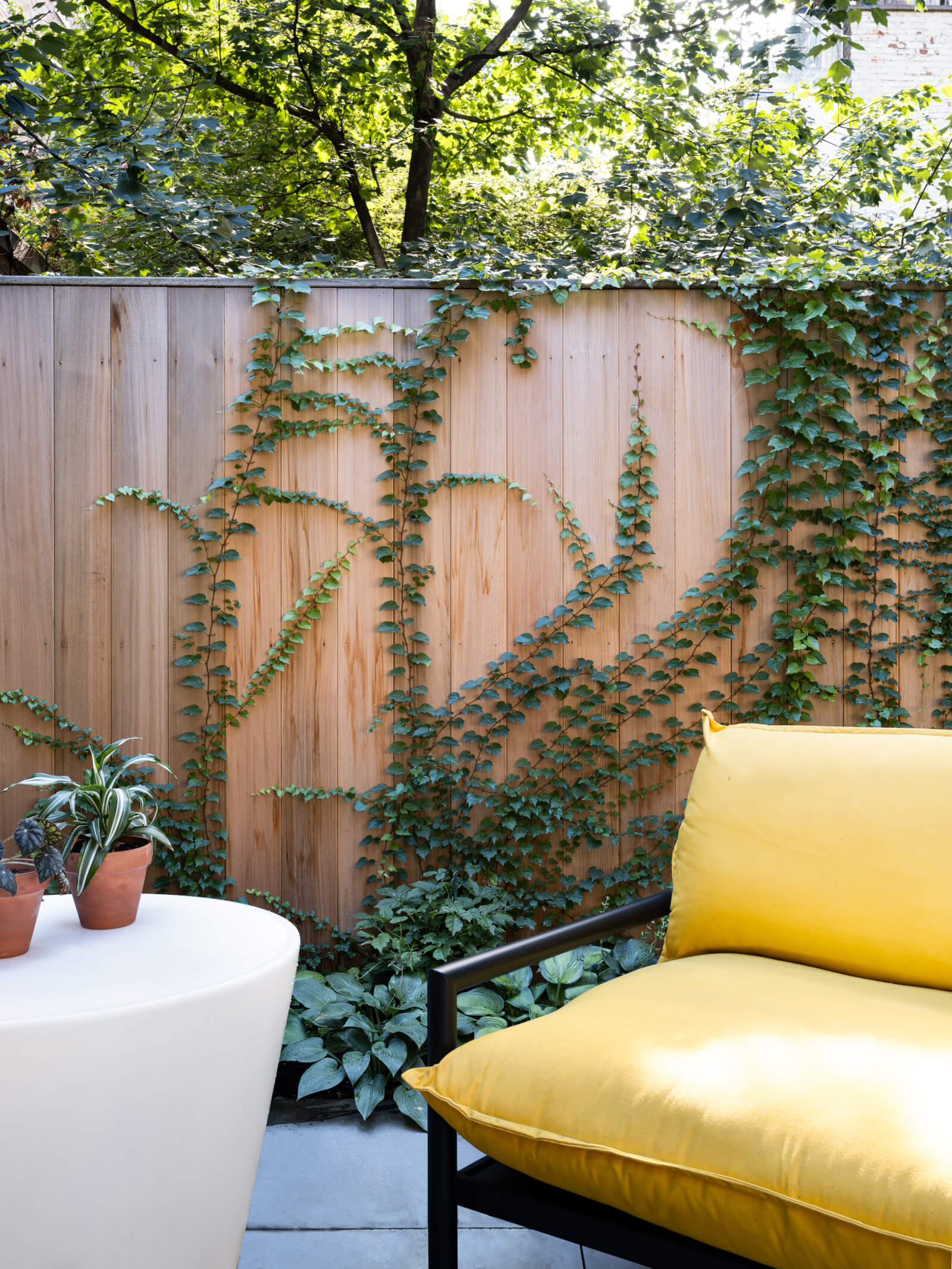 Upper West Side Brownstone roof deck