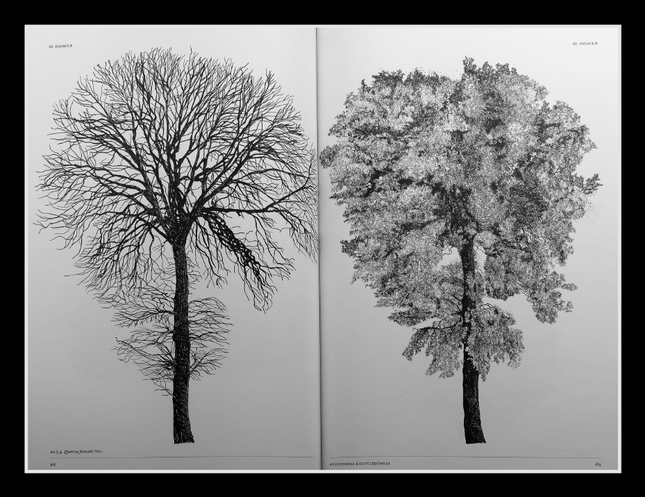 The Architecture of Trees